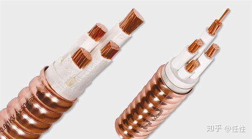 特種電纜與普通電纜 性能與應用領域的核心差異