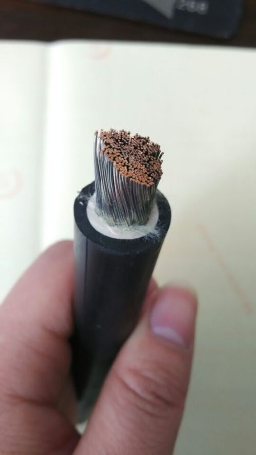 聚焦電力建設(shè) 1kV鋁芯架空線及特種電纜的技術(shù)發(fā)展與市場(chǎng)動(dòng)態(tài)